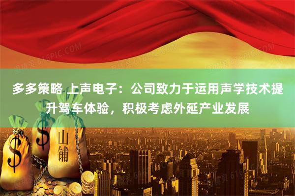 多多策略 上声电子：公司致力于运用声学技术提升驾车体验，积极考虑外延产业发展
