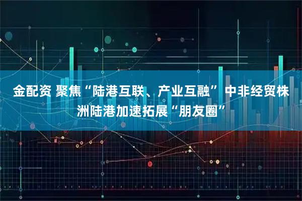 金配资 聚焦“陆港互联、产业互融” 中非经贸株洲陆港加速拓展“朋友圈”