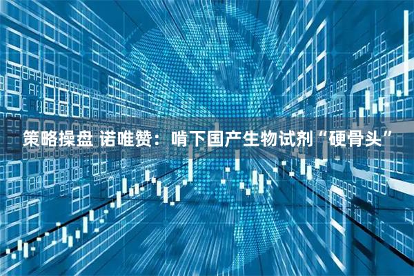 策略操盘 诺唯赞：啃下国产生物试剂“硬骨头”